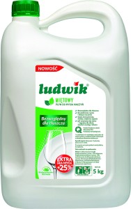 Płyn do naczyń LUDWIK mięta 5L.